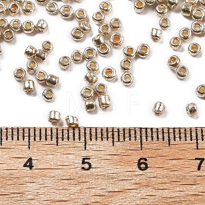 Electroplate Glass Seed Beads X-SEED-Q003-1-1