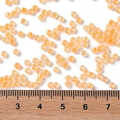 Glass Seed Beads SEED-S042-13A-05-1