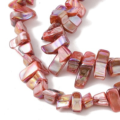 Natural Freshwater Shell Beads Strands BSHE-H018-07-1