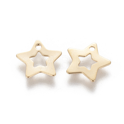 201 Stainless Steel Charms STAS-L233-054G-1