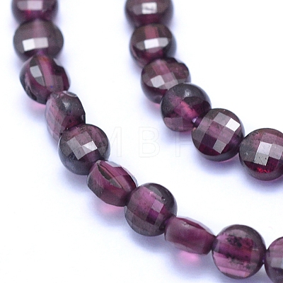 Natural Garnet Beads Strands G-E530-07AL-1