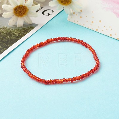 8/0 Glass Seed Beads Stretch Bracelet Sets BJEW-JB06412-1