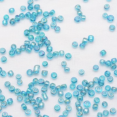 8/0 Round Glass Seed Beads X-SEED-J011-F8-179-1