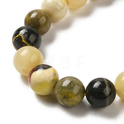 Natural Bumblebee Jasper Beads Strands G-NH0008-01-1