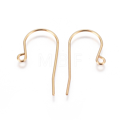 304 Stainless Steel Earring Hooks LS-STAS-F227-29-G-1