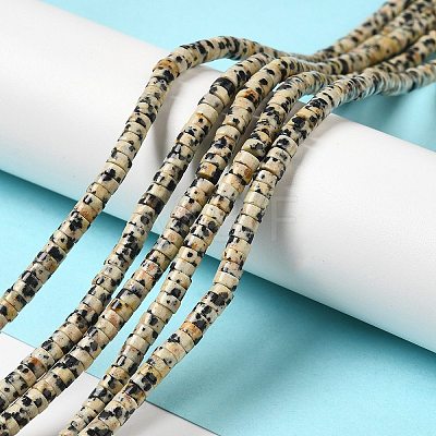 Natural Dalmatian Jasper Beads Strands G-E612-A01-B-1