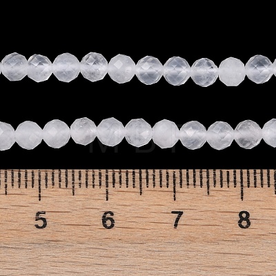 Natural Quartz Crystal Beads Strands X-G-H002-A02-02-1