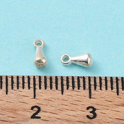 925 Sterling Silver Charms STER-F053-08S-1