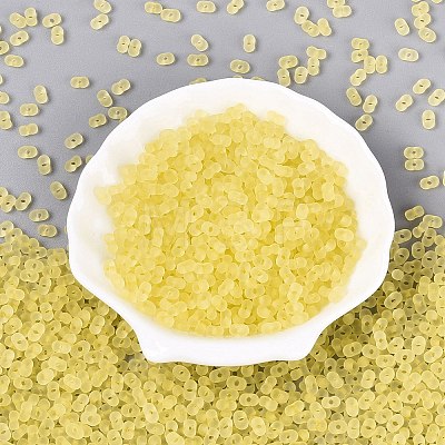 FGB Frosted Transparent Glass Seed Beads SEED-N013-06A-02-1