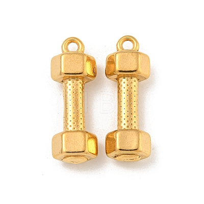 Ion Plating(IP) 304 Stainless Steel Pendants X-STAS-N103-79G-1