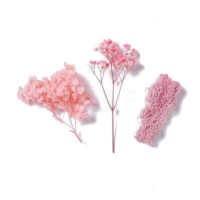 Dried Flowers X-DIY-D052-05-1