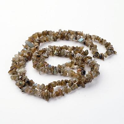 Natural Labradorite Chips Beads Strands X-F069-1