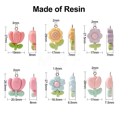 30Pcs 6 Styles Opaque Resin Pendants RESI-CJ0003-50-1