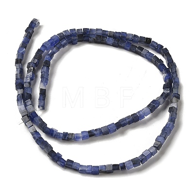 Natural Sodalite Beads Strands G-B064-A27-1
