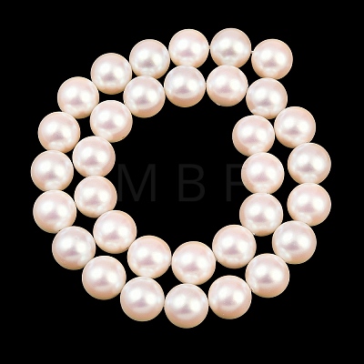 Electroplated Shell Pearl Beads Strands BSHE-C011-01D-1