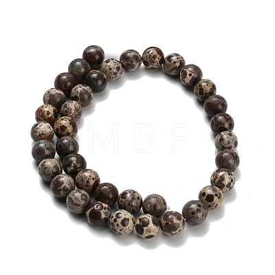Natural Astroite Jasper Beads Strands G-H329-C02-10mm-1