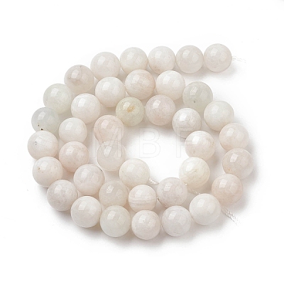 Natural Grey Moonstone Beads Strands G-I279-C01-10mm-A-1