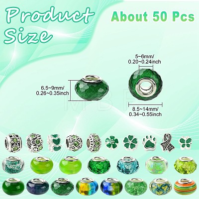 50Pcs Resin European Beads RESI-CJC0050-01A-1