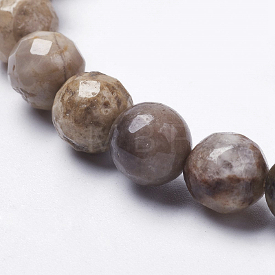 Natural Silver Leaf Jasper Beads Strands G-K181-6mm-O01-1