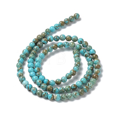 Natural Howlite Beads Strands G-E604-B03-B-1