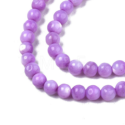 Natural Freshwater Shell Beads Strands X-SHEL-N003-24-B04-1