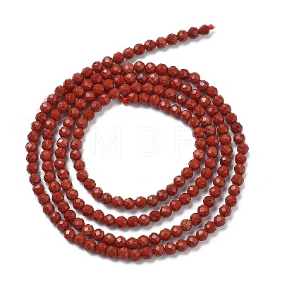 Natural Red Jasper Beads Strands G-J002-22-1