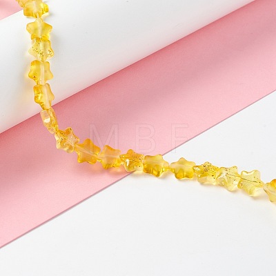 Transparent Glass Beads GLAA-F112-04C-1