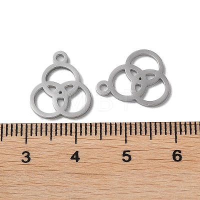 304 Stainless Steel Charms STAS-F300-10P-1