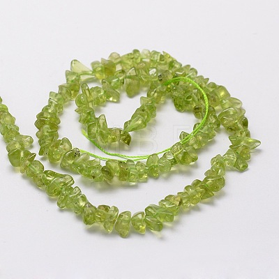 Natural Peridot Chip Bead Strands X-G-M298-12-1