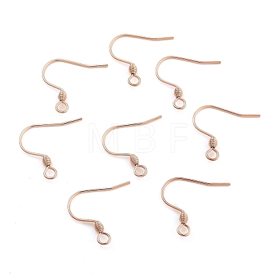 304 Stainless Steel Earring Hooks STAS-E484-55RG-1