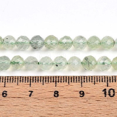 Natural Prehnite Beads Strands G-S345-6mm-28-1