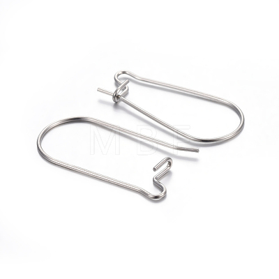 304 Stainless Steel Hoop Earring Findings STAS-P223-01P-03-1