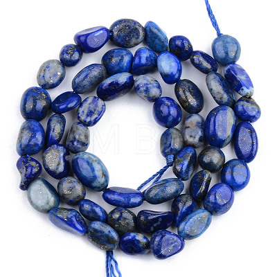 Natural Lapis Lazuli Beads Strands G-S359-155-1