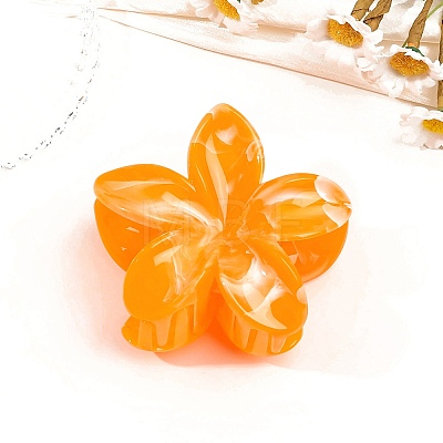 Resin Claw Hair Clips PW-WG0E0E6-04-1