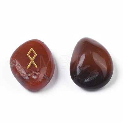 Natural Carnelian Carved Beads G-M366-03-1