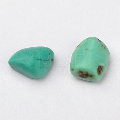 Natural Magnesite Beads TURQ-G929-C01-1