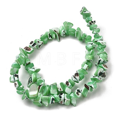 Natural Trochid Shell/Trochus Shell Beads Strands SHEL-B003-02D-1