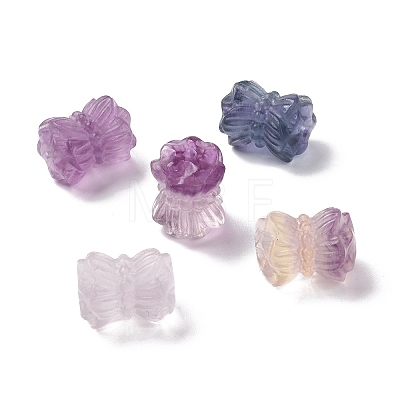 Natural Fluorite Beads G-P483-10-1