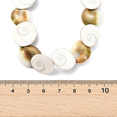 Natural Shiva Eye Shell Beaded Necklaces NJEW-JN06273-1