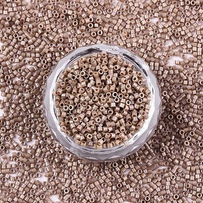 11/0 Grade A Baking Paint Glass Seed Beads X-SEED-S030-1029-1