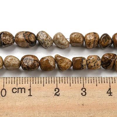 Natural Picture Jasper Bead Strands G-F465-56-1