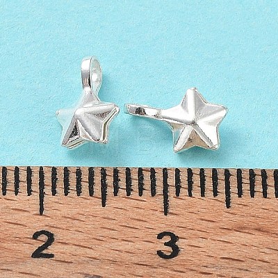 925 Sterling Silver Charms STER-E069-02S-1