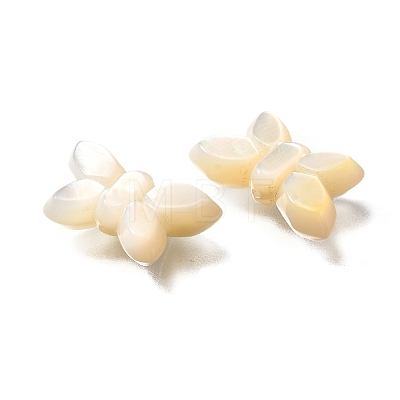 Natural White Shell Beads BSHE-Z008-02-1