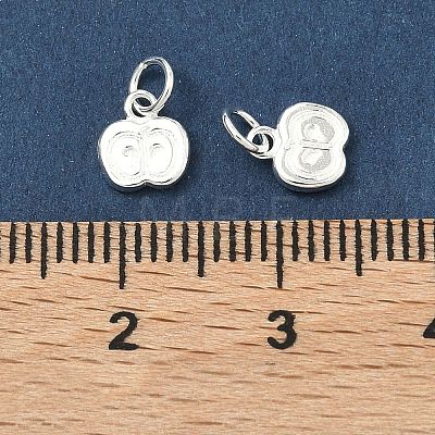 Teachers' Day 925 Sterling Silver Charms STER-A050-03B-S-1