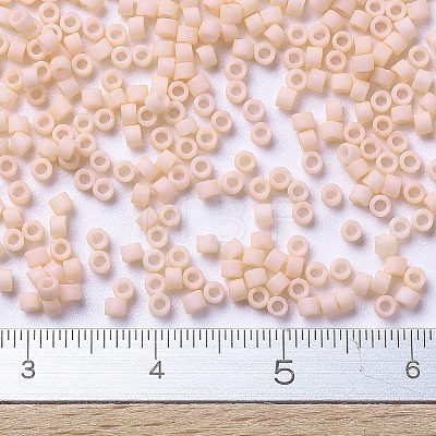 MIYUKI Delica Beads X-SEED-J020-DB0354-1