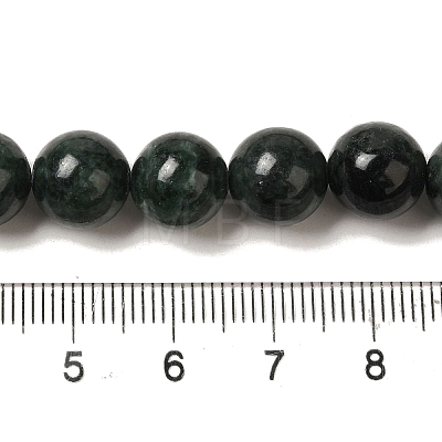 Natural Black Jade Beads Strands G-H067-A03-10MM-1