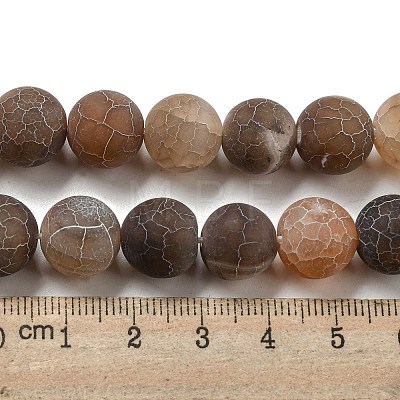 Natural Weathered Agate Beads Strands G-P538-A01-06-1