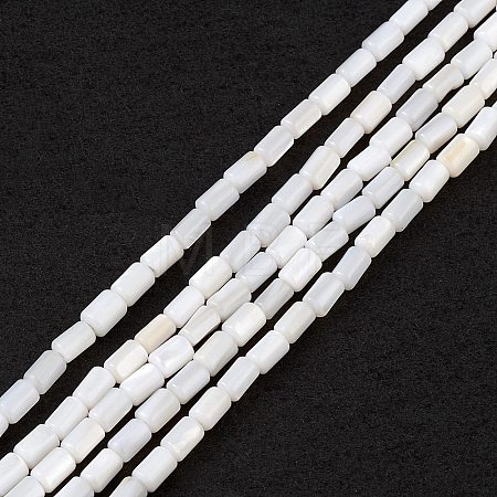 Natural Freshwater Shell Dyed Beads Strands SHEL-M018-12-12-1