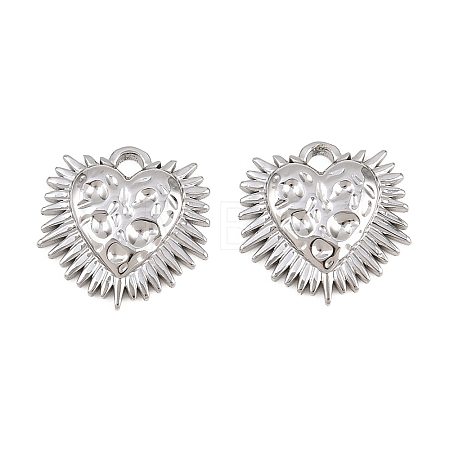 304 Stainless Steel Charms STAS-L317-37P-1