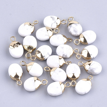 Electroplate Natural Howlite Charms G-S344-09F-1